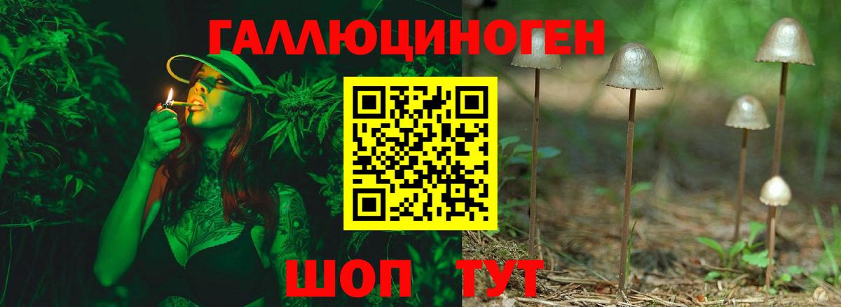 Набережные Челны  Псилоцибиновые грибы Psilocybe  Вход с VPN  Псилоцибиновые грибы мухоморы 